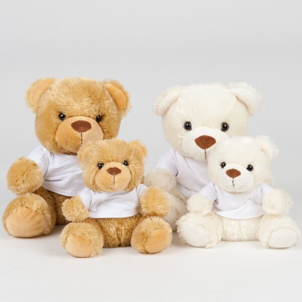 Mumbles Bear in a T-Shirt Thumbnail